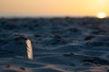 In The Foreground Sand On The Beach And Bird Feather, Against The Background Out Of Focus Sunrise In Jurmala, Latvia. Small Depth Royalty Free Stock Photo