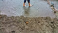 Walking in the Water - Cliff Stream merging with Ocean Royalty Free Stock Photo