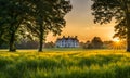 Foreground of vibrant green grass covering a wide meadow Royalty Free Stock Photo