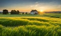 Foreground of vibrant green grass covering a wide meadow Royalty Free Stock Photo