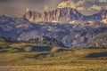 Foreground Wyoming Wildflowers and Sawtooth Mountains Royalty Free Stock Photo