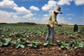 Foreign Thai worker in Israel