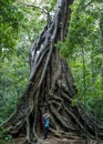 A lady photographs a 1400 year old banyan tree at Ritigala in central Sri Lanka.