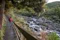 Foreign tourist visiting Wilkies Pools trail, Mount Egmont in New Zealand