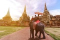 Foreign tourists Elephant ride to visit Ayutthaya.