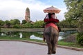 Foreign tourists Elephant ride to visit Ayutthaya.