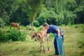 Foreign tourists in Thailand, traditional Thai dress farmer back