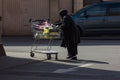 foreigner muslim turkish senior lady with shopping cart