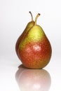 Forelle Pears Royalty Free Stock Photo