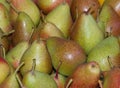 Forelle Pears