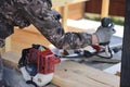 The foreman checks the work of the gasoline trimmer after winter storage, background Royalty Free Stock Photo