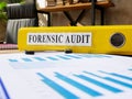 Forensic audit results in the folder and papers. Royalty Free Stock Photo