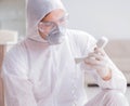 Forensic expert at crime scene doing investigation Royalty Free Stock Photo