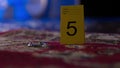 Homicide csi crime scene photography - forensic marker