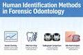 Forensic Odontology Human Identification Methods Including Dental Charting and Dna Analysis Royalty Free Stock Photo