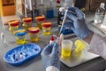 Forensic police analyse several containers of human urine of labelled murder suspects in each Royalty Free Stock Photo