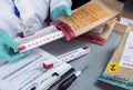 Forensic police check files against evidence in crime lab Royalty Free Stock Photo