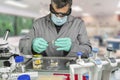 Forensic scientist analyses larvae from a cadaver in a murder case in crime lab