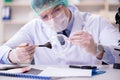 The forensics investigator working in lab on crime evidence Royalty Free Stock Photo