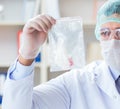 Forensics investigator working in lab on crime evidence Royalty Free Stock Photo