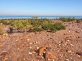 Foreshore with sand rocks, mangroves and ocean at east point reserve Royalty Free Stock Photo