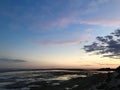 Foreshore at sunset with rocks and seaweed. Orange reflections