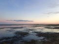 Foreshore at sunset with rocks and seaweed. Pink reflections