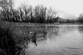 Foreshortening of Posta Fibreno Lake