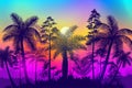 Sunset or sunrise time at tropical forest with trees and bright colorful gradient sky Royalty Free Stock Photo