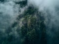 spruce forest from above in covered clouds