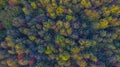 A forest from above with a drone Royalty Free Stock Photo