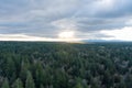 Forest above Tolmie State Park at Lacey, Washington in December of 2022 Royalty Free Stock Photo