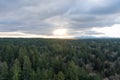 Forest above Tolmie State Park at Lacey, Washington in December of 2022 Royalty Free Stock Photo