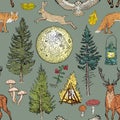 Forest adventure magic seamless pattern: bonfire, camping lamp, full moon, spruce, fir tree, mushrooms, fox, hare, deer