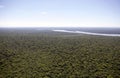 Forest along the Iguazu River, Brazil Royalty Free Stock Photo