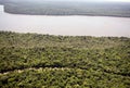 Forest along the Iguazu River, Brazil Royalty Free Stock Photo