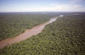 Forest along the Iguazu River, Brazil Royalty Free Stock Photo