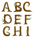 Forest Alphabet with Letters Arranged from Tree Trunks and Branches Vector Set