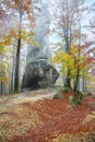 Forest and ancient rocks of Dovbush in Bubnishch in the Carpathian mountains. Foggy wheather Royalty Free Stock Photo