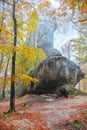 Forest and ancient rocks of Dovbush in Bubnishch in the Carpathian mountains. Foggy wheather Royalty Free Stock Photo