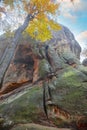 Forest and ancient rocks of Dovbush in Bubnishche in the Carpathian mountains. Foggy wheather Royalty Free Stock Photo