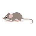 Forest animal, cute small gray mouse icon isolated on white background