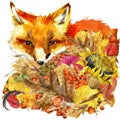 Forest animal fox Autumn nature colorful leaves background