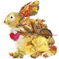 Forest animal hare Autumn nature colorful leaves background ,