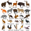 Forest animals color flat icons set