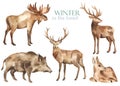 Watercolor set with forest animals elk, deer, wild boar on a white background Royalty Free Stock Photo