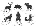 Forest animals icons and traces set Royalty Free Stock Photo