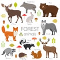 Forest animals isolated vector set. Royalty Free Stock Photo