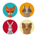 Forest animals rabbit, fox, wolf, bear flat design vector icon