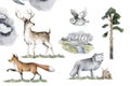 Forest animals. Realistic winter cute walking wildlife fox, deer, owl and landscape isolated illustration on white background. Royalty Free Stock Photo